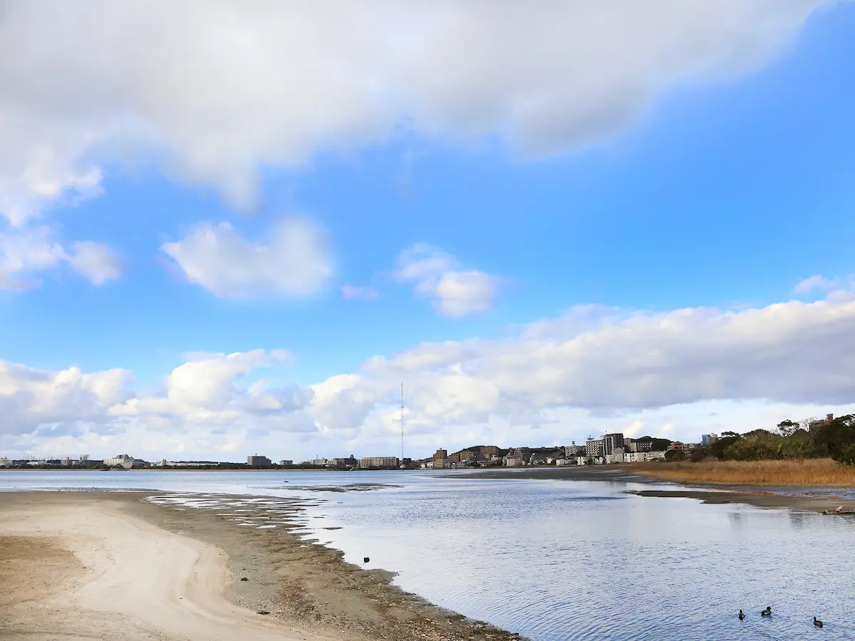 テキストテキストテキスト